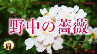 【野中の薔薇】シューベルト日本語歌詞|世界三大コンクール出場ソプラノいまいあいが歌ってみた
