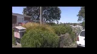 preview picture of video 'Houses for Rent in New Plymouth New Zealand 2BR/1BA by Property Management New Plymouth'