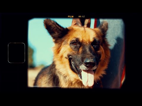 STREET SHADOW YA YA YA{OFFICIAL MUSIC VIDEO}SHOT BY ADDI VYBZ gambian drill music #gamdrillmusic