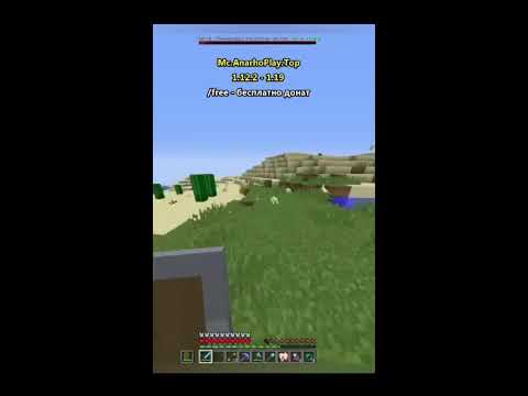 🔥 ОТКРЫЛ СВОЙ ГРИФЕРСКИЙ СЕРВЕР НА 1.16.5 || НОВЫЙ ГРИФ СЕРВЕР mc.anarhoplay.top