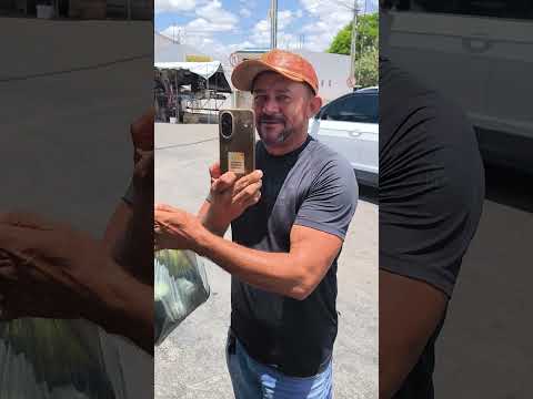 REPÓRTER MATUTO na feira de são José do Belmonte Pernambuco Brasil.