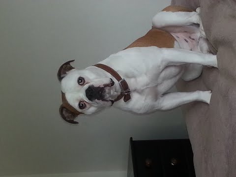 scouse house vinyl mix big jay