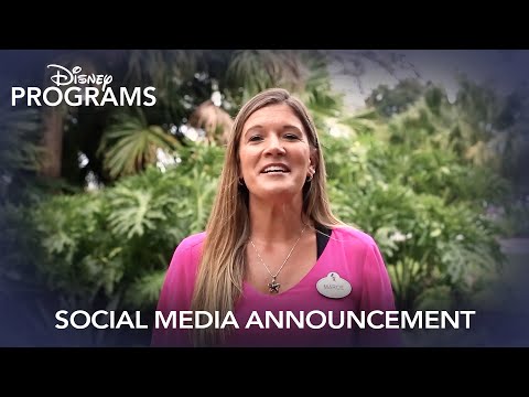 Social Media Announcement | Discover the Disney Alumni Association