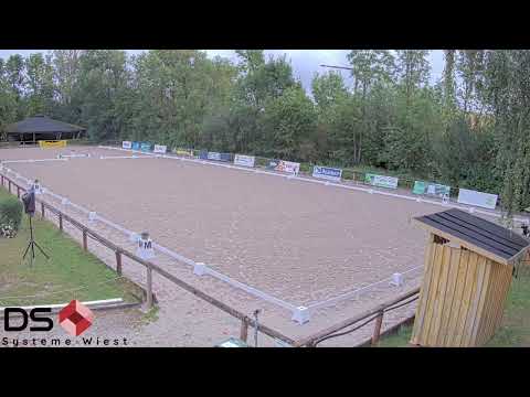 Leonberger Reiterspiele