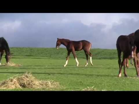 Breakfast Club Sept11