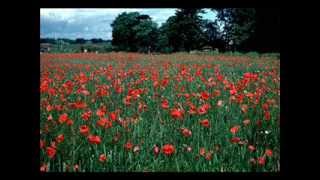 Peter Sue & Marc ~ Io senza te (Eurovision 1981)