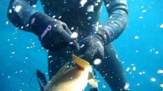 preview picture of video 'Spearfishing in Syria - Lattakia صيد سمك - اللاذقية'