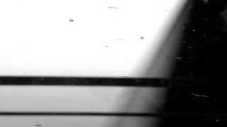 11. Vibrations & Harmonies 11 -- IAMTHATIAM a.k.a Jamal R. Moss