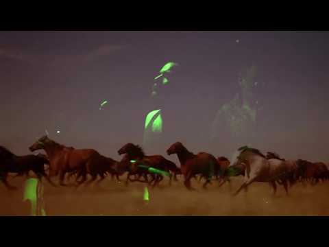 Sila Nečista - Konji Bijeli (Ona mene neče) - offical kučni video