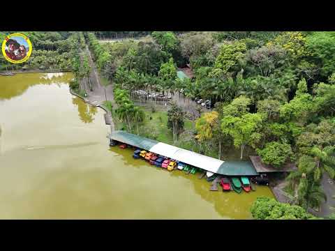 Parque Malwee Jaraguá do Sul: Um Paraíso Natural em Santa Catarina
