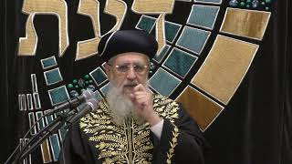 מרן הראשון לציון רבי דוד יוסף שליט"א I ברכת העץ, האדמה, שהכל - איזה מהן יקדים