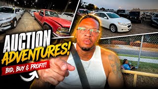 I Went to the Car Auction… You Won’t Believe What I Found!