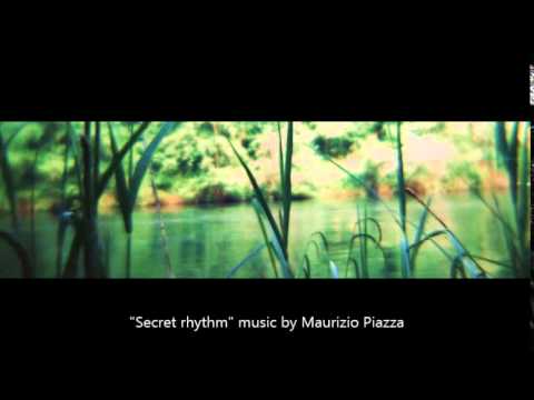 Secret rhythm (Maurizio Piazza)