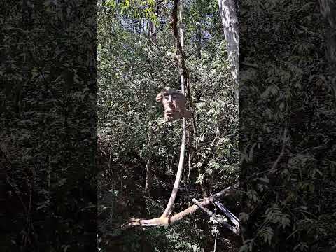 Trilha Loquinhas em Alto Paraiso de Goiás