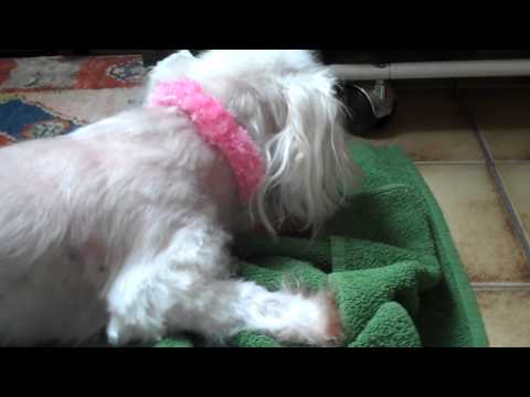 Sherra - summer 2011