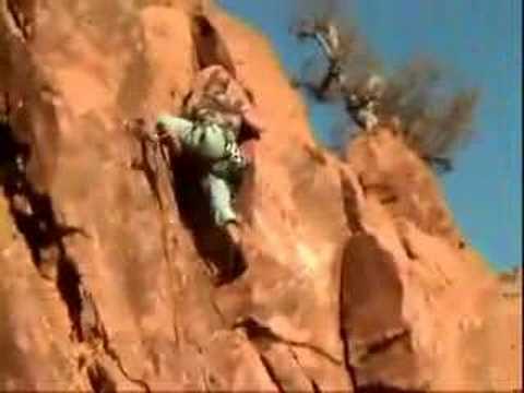 Sortie de pachyderme