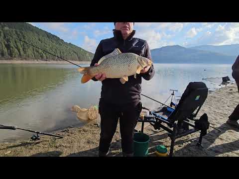 Pescuit la feeder pe lacul Izvorul Muntelui (crapul nărăvaș)