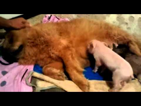 AvjWgdi25X5ye5ChqjQDw5CMlTBbTbi9u1pPNcn8j9Ec