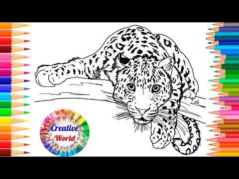 Jaguar Predator Coloring Book // Wild animals Coloring // How To Color a Jaguar