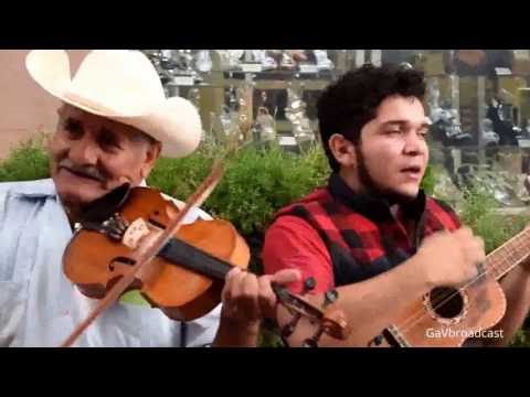 El Trío Tordo Huasteco toca El Querreque desde el Centro Histórico de SLP