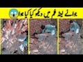 Joyland Movie Dekhny Ke Bad Pakistano Ke Halaat