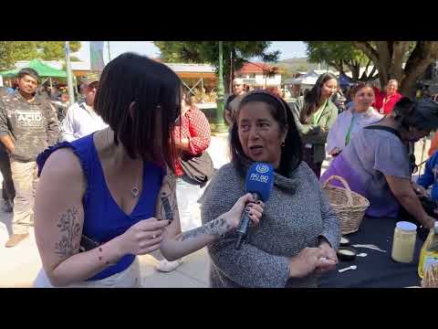 Hualqui sorprendió nuevamente con la tortilla de rescoldo más grande de la región