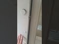 IMG 4753