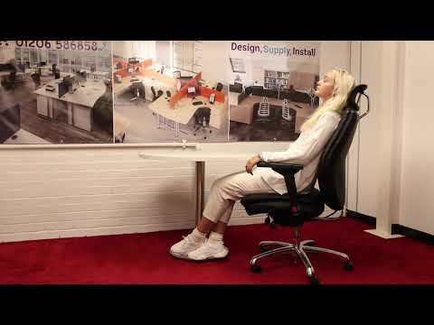 Domino Fabric Ergonomic 24 Hour Office Chair with Headrest