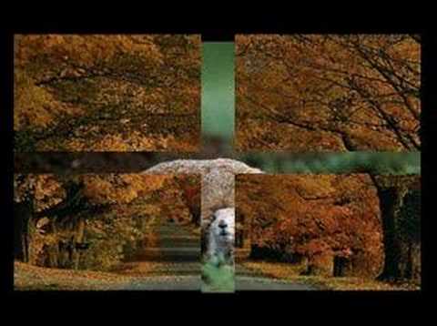 O Proskinitis - Alkinoos Ioannidis [Photoclip]