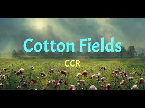 Lyrics Cotton Fields
