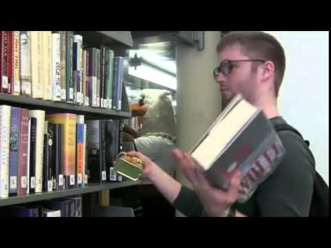 When will it end? Nobody knows...