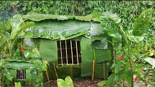 Solo cing hujan deras membuat shelter di hutan berbentuk tabung beratap daun pisang Mp4 3GP & Mp3