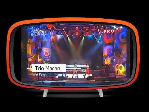 Trio Macan - Iwak Peyek (Live Performance)