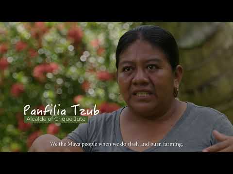 Guardians of the Land