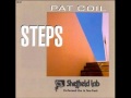 Pat Coil - The Way It Looks From Here
