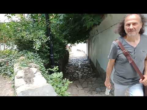 Cute cat near History museum Plovdiv