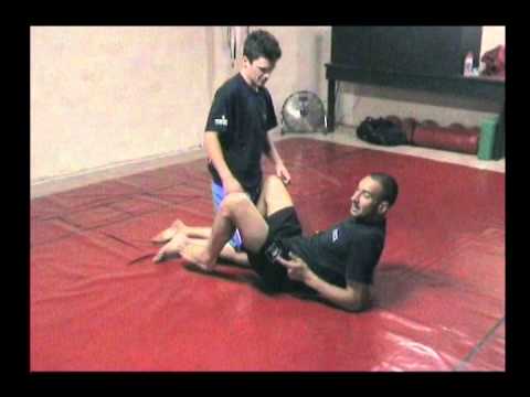 4 Purple Electric Chair Sweep