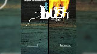 Bush - Swallowed (Radio Edit) [HQ]