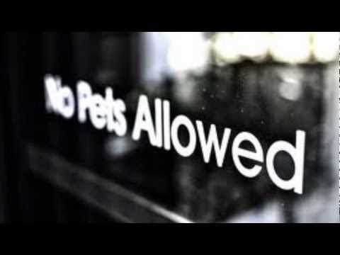 NoPetsAllowed - I Really Miss That