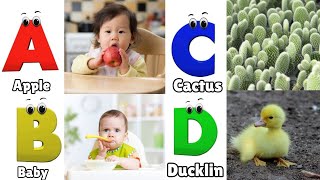 Kids Education Learn TV
