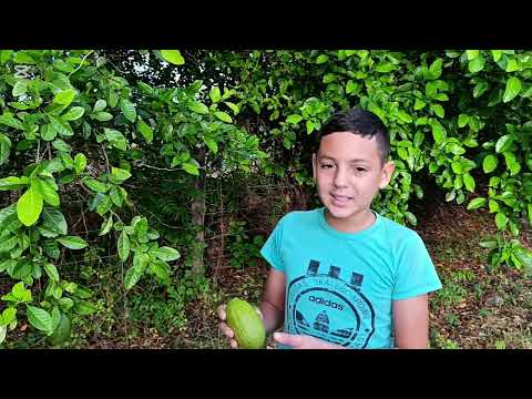 Conociendo más lugares de nuestro municipio La Cañada de Urdaneta.