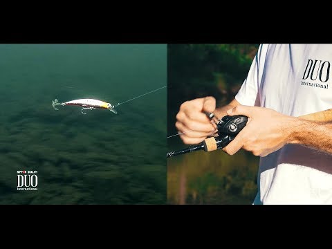 Lure Masterclass: Spearhead Ryuki 80S - How to