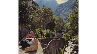 Avicii- Gonna Love Ya (ft. Sandro Cavazza) [가사해석]