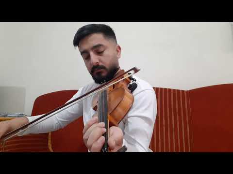 sevda ( Göksel Baktagir) KEMAN