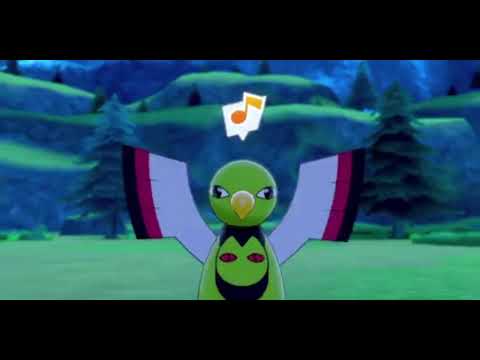 "Stare Intenstifies"