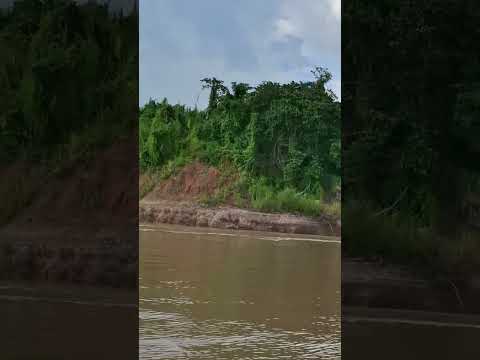 porto do governo  cruzeiro do sul acre #filmagem #paisagemnatural #viajando #riojuruá