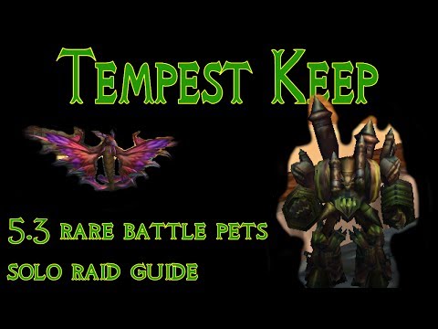 Tempest Keep 5.3 rare battle pets | raid solo tutorial guide (Burning Crusade)