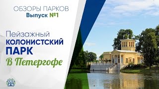 Рыбалка в петергофе ольгин пруд