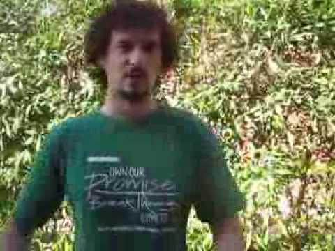 Radu Matei pentru Alumni AIESEC Romania