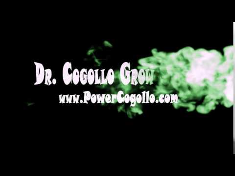 Doctor Cogollo GrowShop PowerCogollo.com